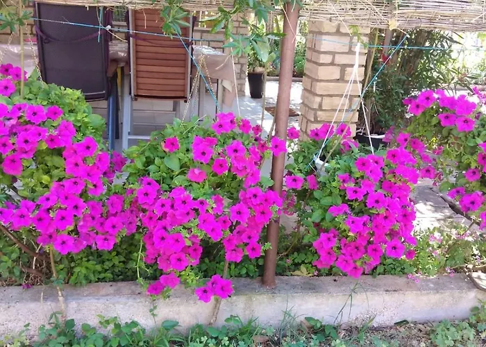 Lu فير