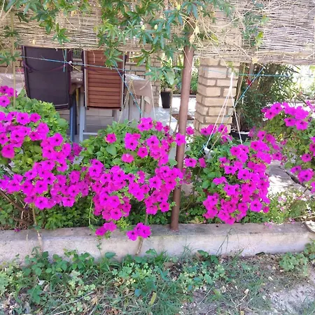 Lu ויר